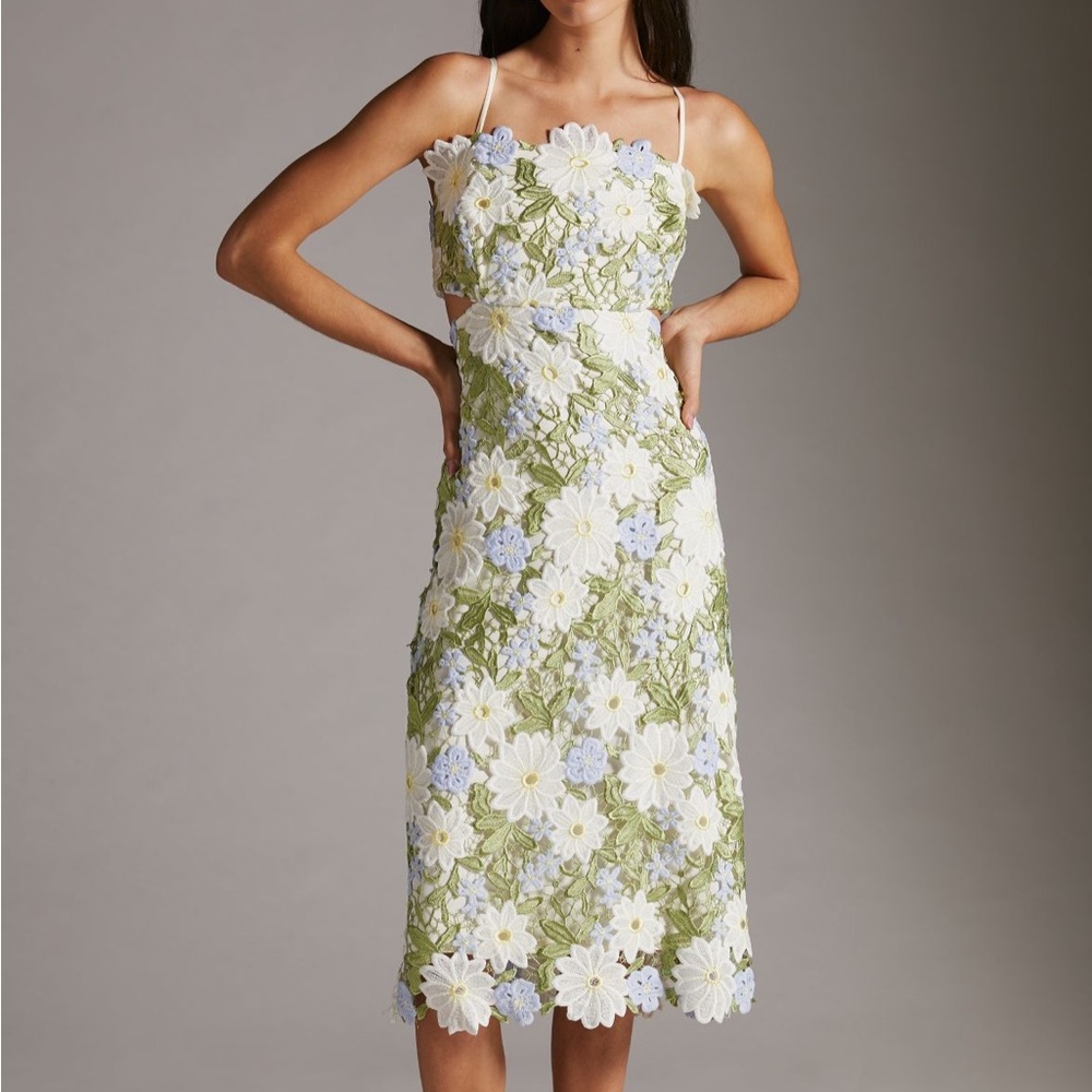 Anthropologie Dress